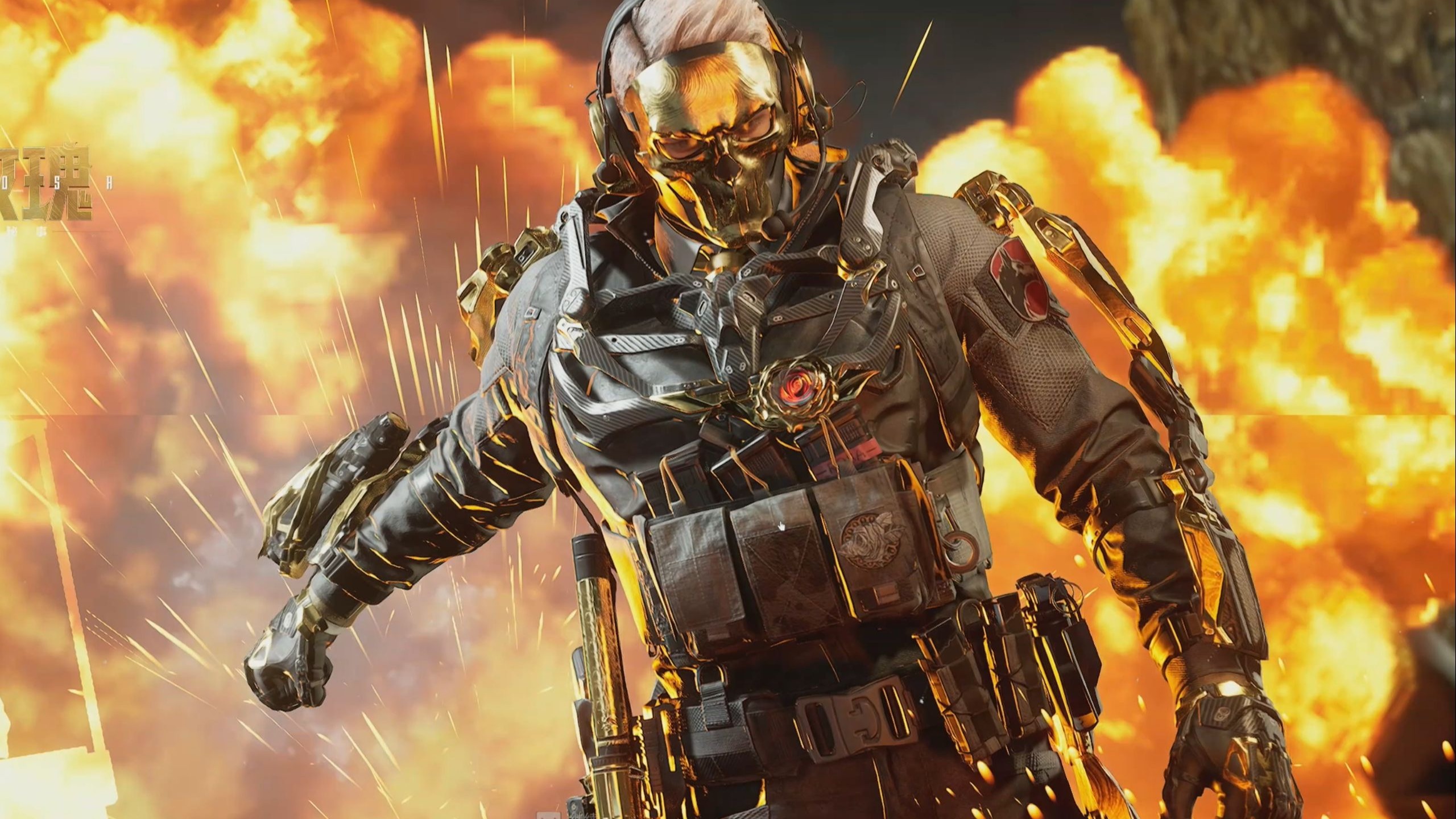 共生与合作 共生与合作